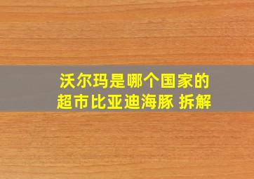 沃尔玛是哪个国家的超市比亚迪海豚 拆解